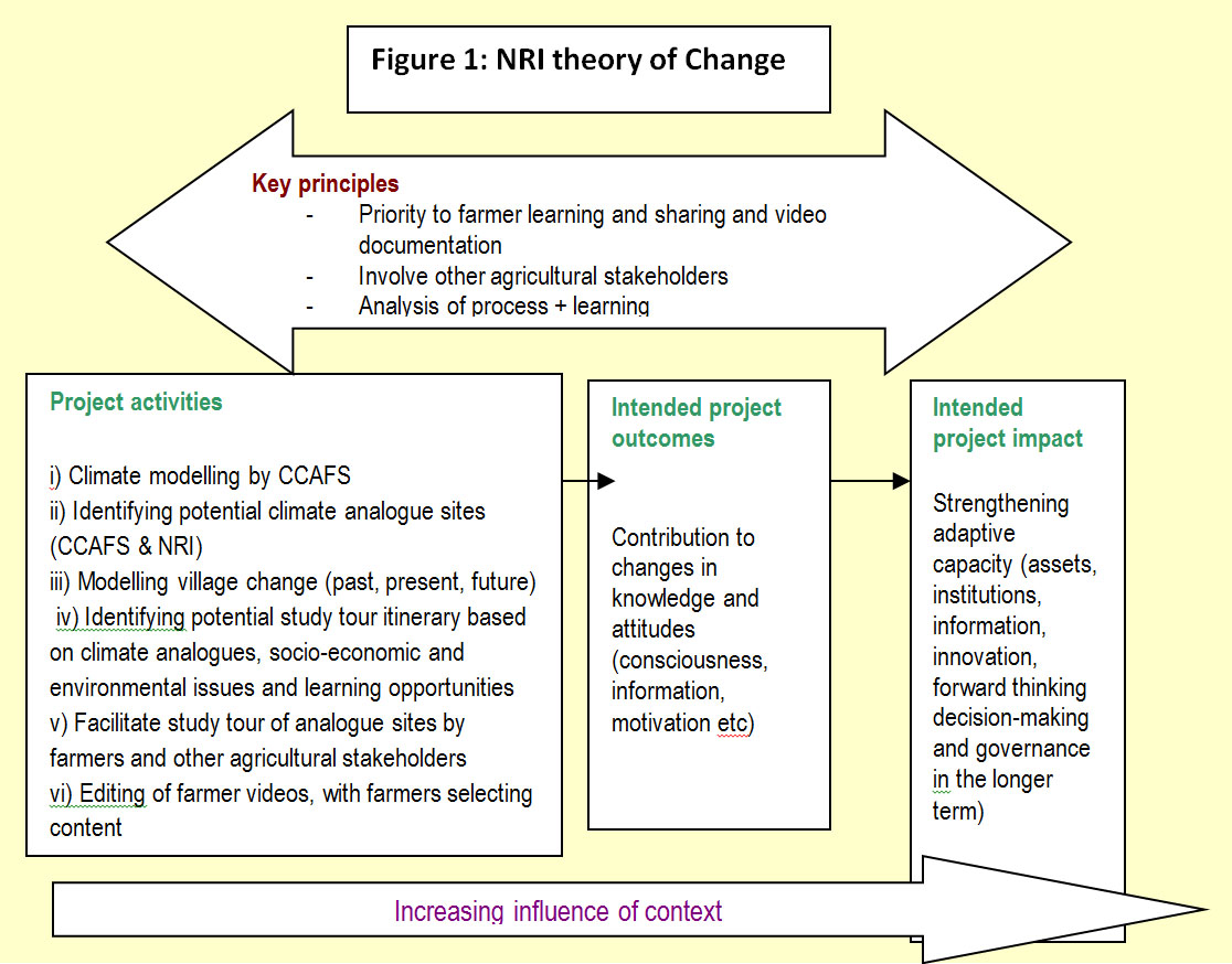 NRI-theory-of-change